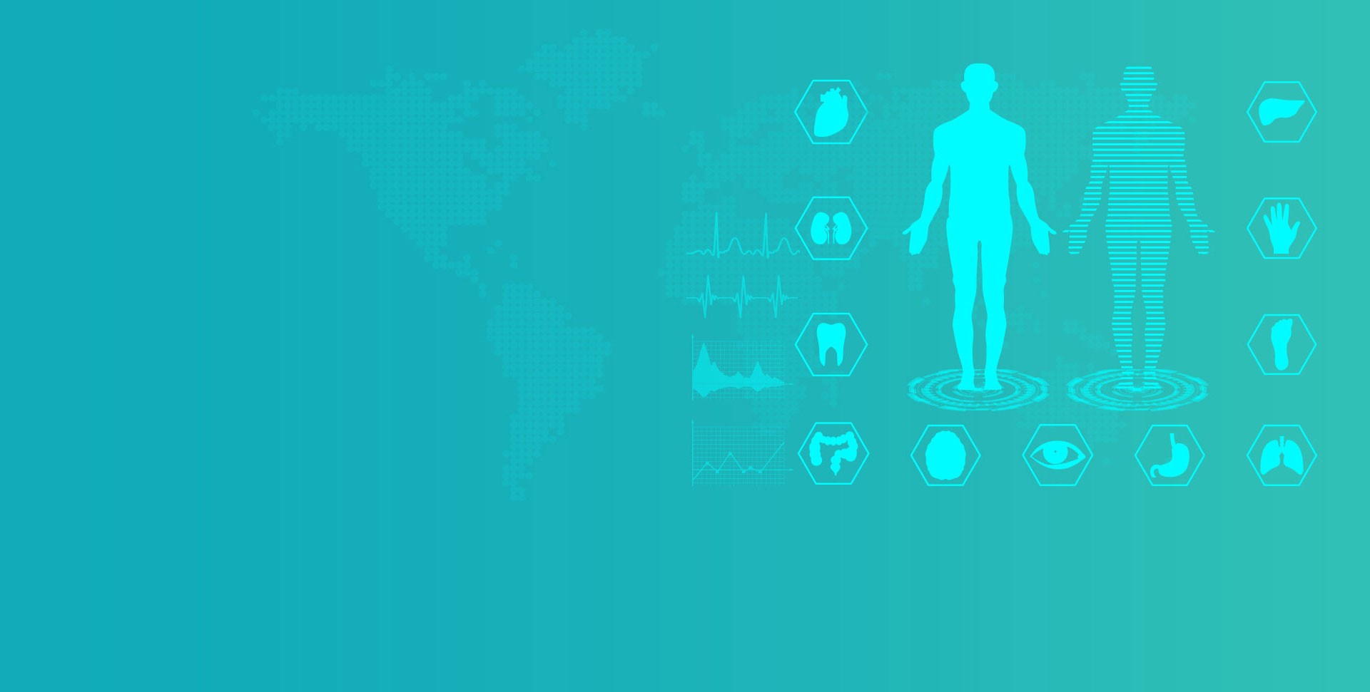 华医再生  类器官转化研究深耕者