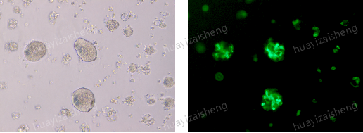 微信图片_20240228114241.png 微信图片_20240228114241.png